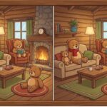 Spot the Difference Challenge: Test Observation Skills by Finding Hidden Changes in the Bear Puzzle
