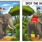 Spot the Difference Puzzle: Identify 3 Changes in the Boy Riding an Elephant Images
