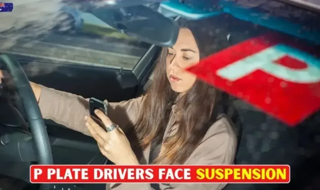 P-Plate Drivers Face Immediate Suspension